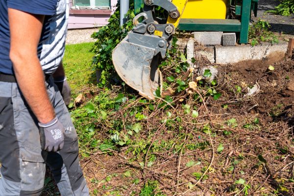 Hedge Removal Service in Poulsbo