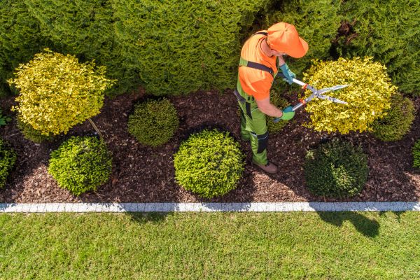 Cost of Topiary Trimming in Poulsbo