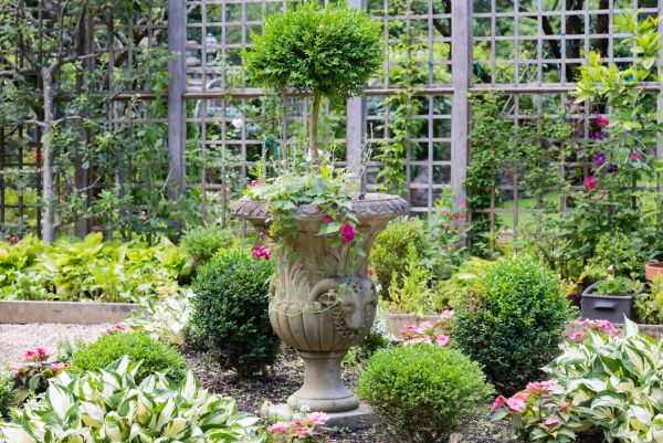 Cost of Topiary Pruning in Poulsbo