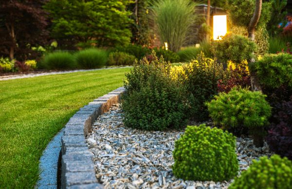 Cost of Bush Relocation in Poulsbo