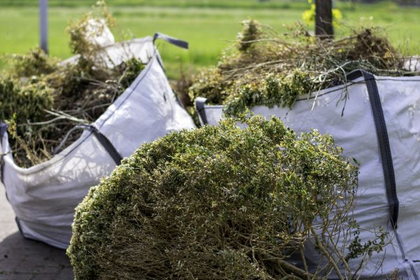 Shrubs Removal in Poulsbo
