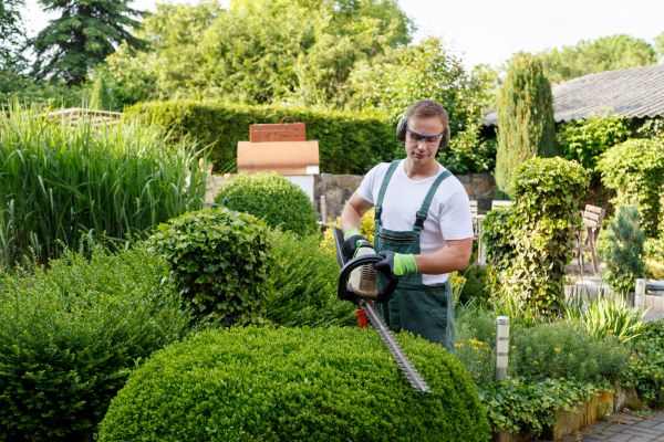 Shrubs Trimming in Poulsbo